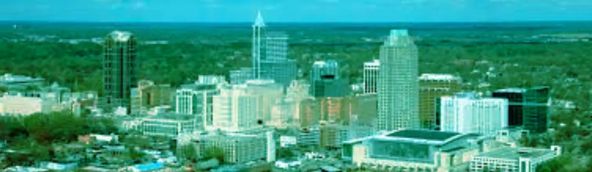 Distorted Raleigh skyline.